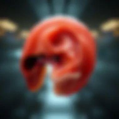 Notable Explorations of the Inner Ear and Cochlear Implants Notable Explorations of the Inner Ear and Cochlear Implants