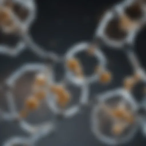 Chemical structure of common acids