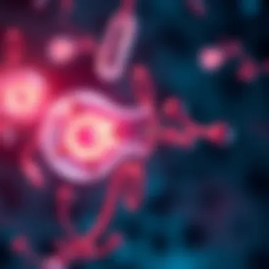 Mechanisms of Action in Contraceptives Diagram of hormonal mechanisms