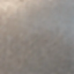 Close-up view of Bio-Rad PVDF membrane showcasing its texture and structure