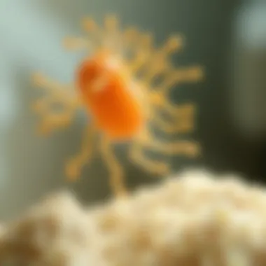 Environmental impact of Botulinum A