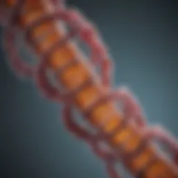 Chromosomal Structure Analysis