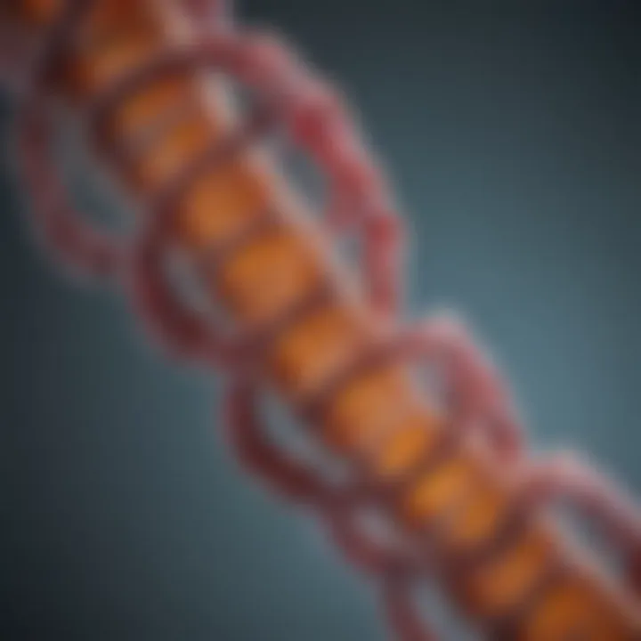 Chromosomal Structure Analysis