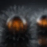 A close-up view of ferrofluid exhibiting unique magnetic properties