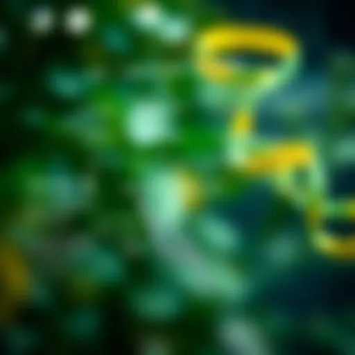 Detailed diagram of the genetic modification process