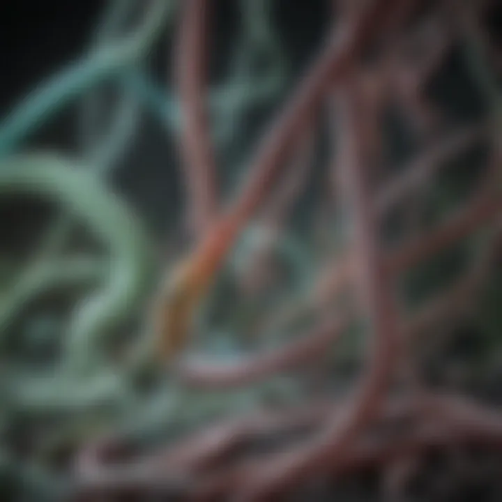 Efficacy of Various H. Pylori Drug Classes