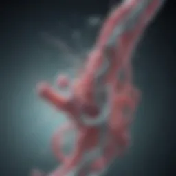 Mechanism of Action of H. Pylori Drugs