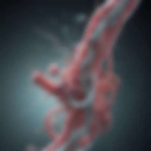 Mechanism of Action of H. Pylori Drugs