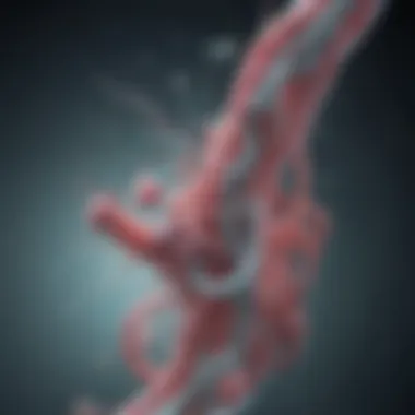Understanding Drug Mechanisms Against H. Pylori Mechanism of Action of H. Pylori Drugs