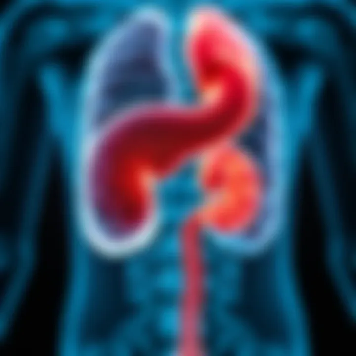 Diagnostic Approaches for Pancreatic Tumors Diagram illustrating the latest diagnostic approaches for pancreatic tumors