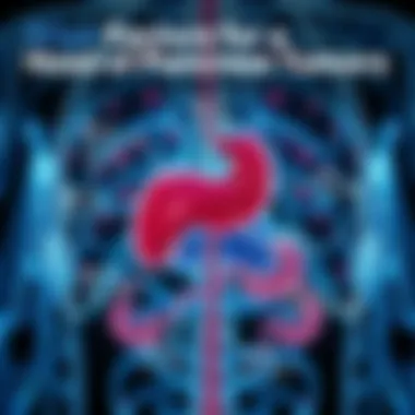 Risk Factors for Head of Pancreas Tumors Infographic showcasing risk factors associated with head of pancreas tumors