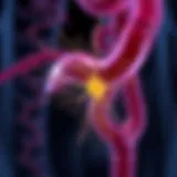 Schematic representation of ganglion cells in the gastrointestinal tract