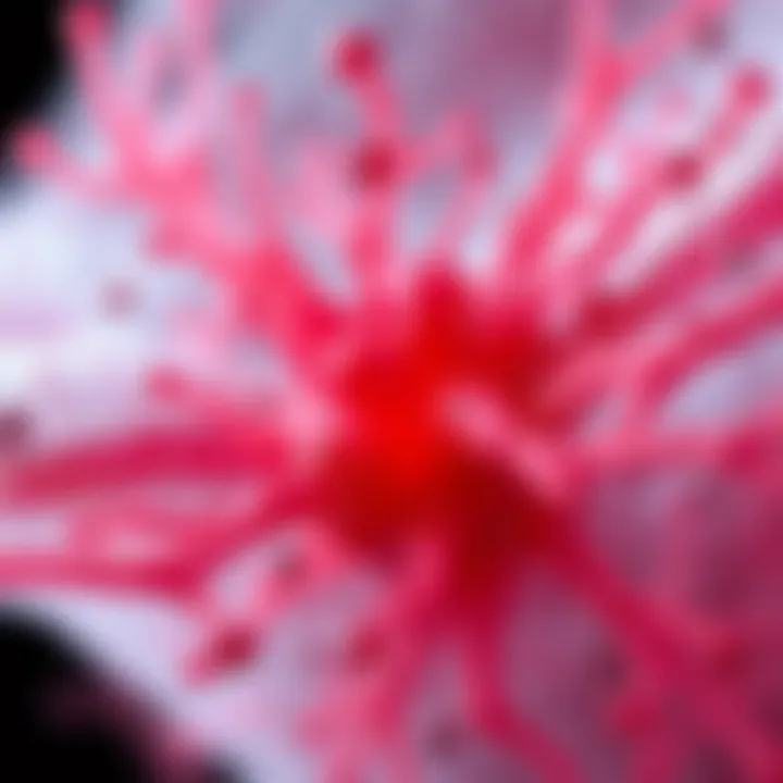 Microscopic view showing reduced ganglion cell density