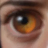 Advanced retinal imaging technology showcasing detailed eye structure