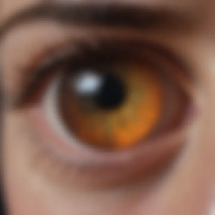 Advanced retinal imaging technology showcasing detailed eye structure