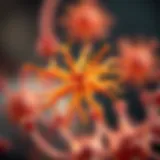 Olfactory Receptors: The Gatekeepers of Smell Scientific illustration of olfactory receptors and their role in smell