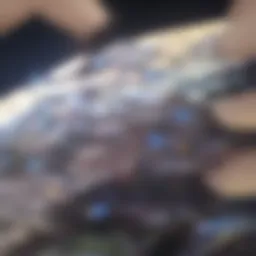 Visual representation of generative models in machine learning