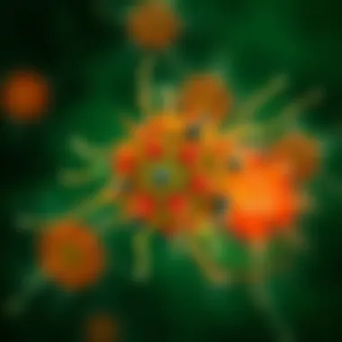 Innovative applications of mGFP in live cell imaging