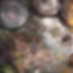 A vibrant display of various energy-rich foods.