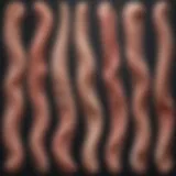 Illustration of various types of penile curvature