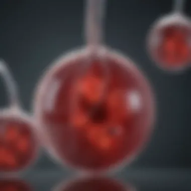 Understanding Stem Cell Transplants for Sickle Cell Anemia Diagram of stem cell transplant procedure