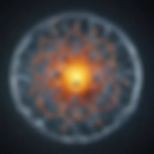 Atomic structure of solid state electrolytes