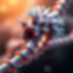 Sonic Hedgehog gene structure and function overview