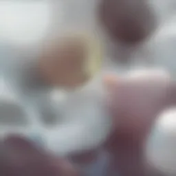 Overview of stem cell types and their characteristics