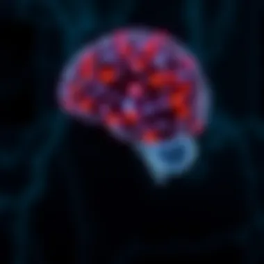 Neuroscience of Meditation Illustration of the brain highlighting areas activated by meditation