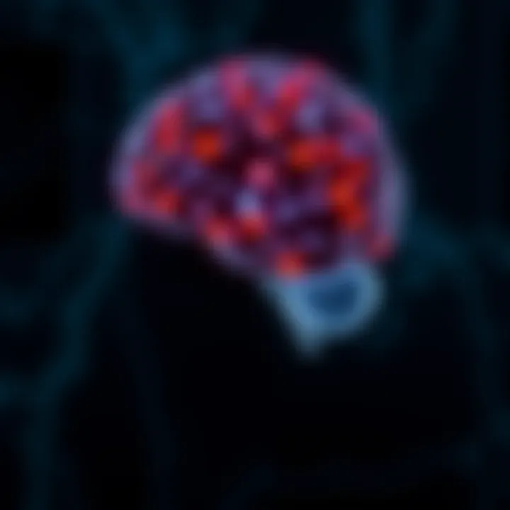 Neuroscience of Meditation Illustration of the brain highlighting areas activated by meditation