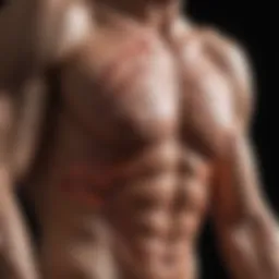 Visual representation of muscle inflammation