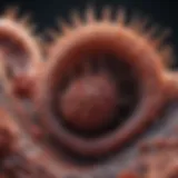 Microscopic view of urothelial cells showcasing their unique structure.