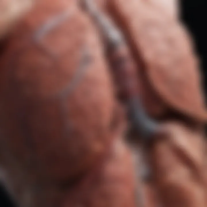 Visual representation of liver disease impact