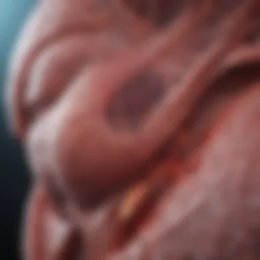 Advances in Liver Regeneration Innovative techniques in liver regeneration