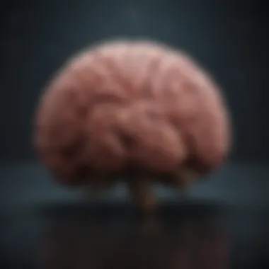 Exploring the Dimensions: Intriguing Insights into the 3D Brain Introduction Exploring the Dimensions: Intriguing Insights into the 3D Brain Introduction