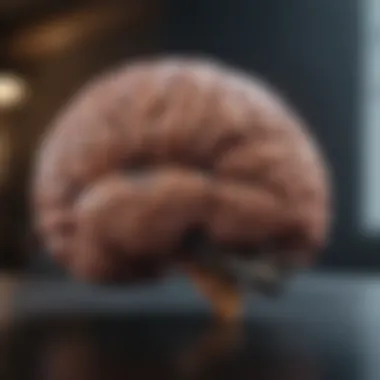 Exploring the Dimensions: Intriguing Insights into the 3D Brain Summary Exploring the Dimensions: Intriguing Insights into the 3D Brain Summary