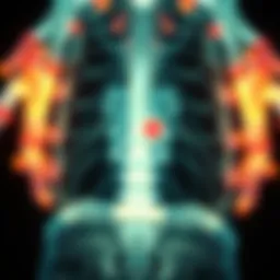 Exploring the Intersection of CIDP and Lupus: A Comprehensive Overview Introduction