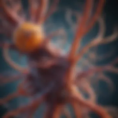 Biological System Interplay Interconnections between various biological systems