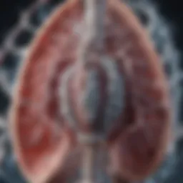 Mechanisms of bronchodilators in lung function