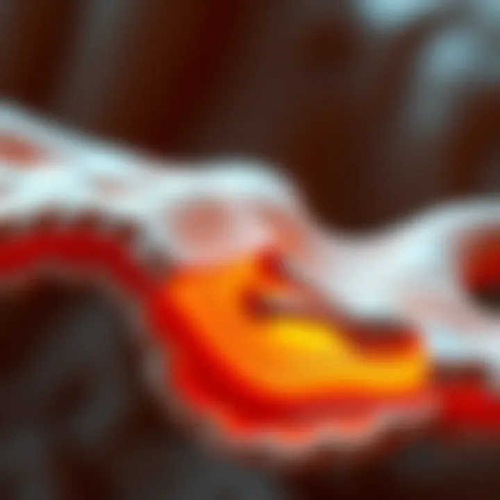 Functional Roles of Compression Tissue Diagram showcasing functional implications of compression tissue