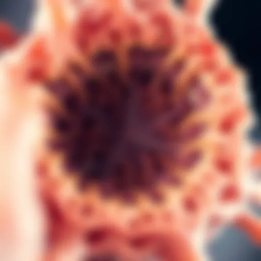 Intricate Structure of Compression Tissue Microscopic view of compression tissue structure