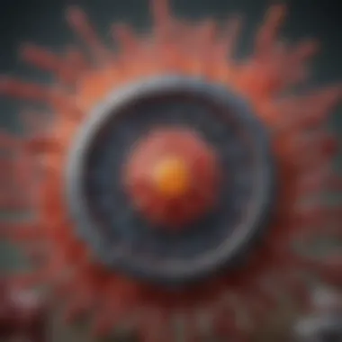 Visual representation of the Rota virus lifecycle