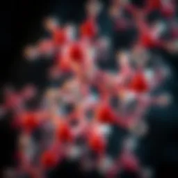 Exploring the Significance of Amino Acids: A Focus on the Foremost Amino Acid Introduction