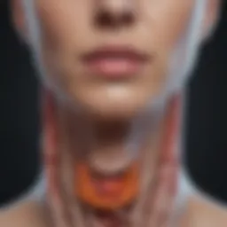 Morphological characteristics of thyroid cells in lymph nodes