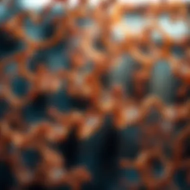 Applications of Toolbox Genomics in Biological Research Visual depiction of the applications of toolbox genomics in diverse biological fields.