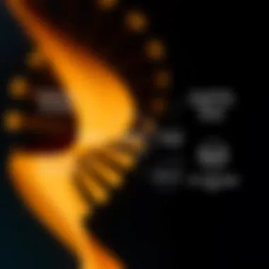 Integration of Methodologies in Genomic Analysis Diagram illustrating the integration of various methodologies in toolbox genomics.