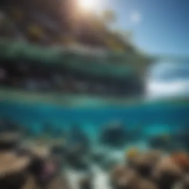 Tourists engaging in snorkeling near the reef