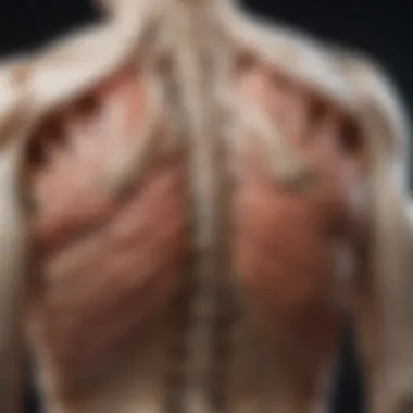 Symptoms of Traumatic Spinal Stenosis Visualization of symptoms associated with traumatic spinal stenosis
