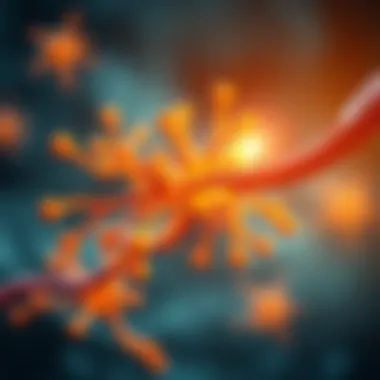 NAD's role in metabolic processes