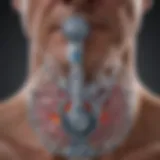 Bronchodilator mechanism of action